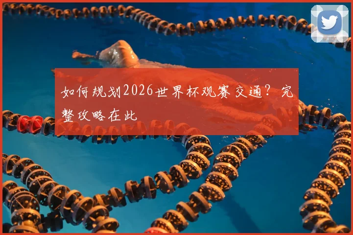 如何规划2026世界杯观赛交通?完整攻略在此